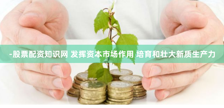 -股票配资知识网 发挥资本市场作用 培育和壮大新质生产力