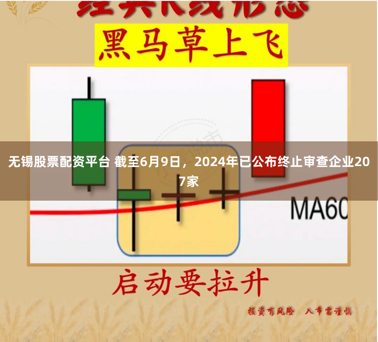 无锡股票配资平台 截至6月9日，2024年已公布终止审查企业207家