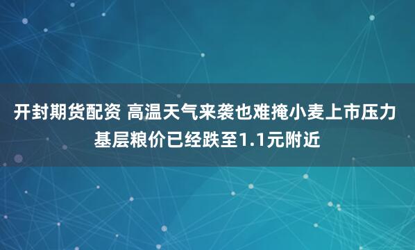 开封期货配资 高温天气来袭也难掩小麦上市压力 基层粮价已经跌至1.1元附近
