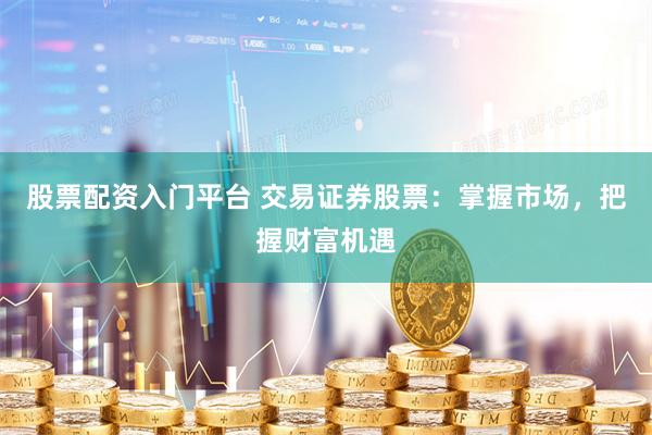 股票配资入门平台 交易证券股票：掌握市场，把握财富机遇