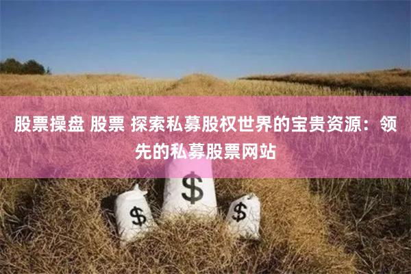 股票操盘 股票 探索私募股权世界的宝贵资源：领先的私募股票网站